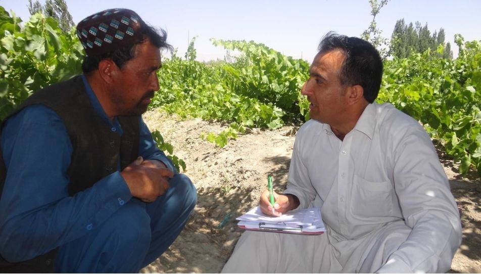 Baseline Survey in Paktika